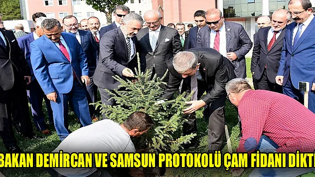 Bakan Demircan ve Samsun protokolü çam fidanı dikti