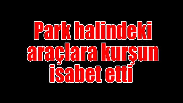  Park halindeki araçlara kurşun isabet etti