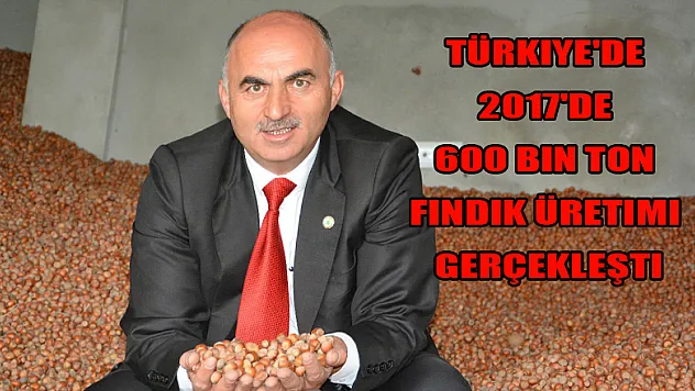  Türkiye'de 2017'de 600 bin ton fındık üretimi gerçekleşti