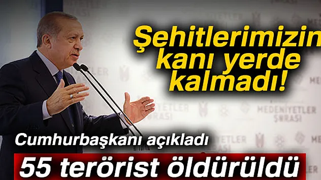 Cumhurbaşkanı Erdoğan: '55 teröristi etkisiz hale getirdik'