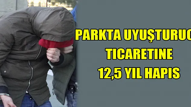 Parkta uyuşturucu ticaretine 12,5 yıl hapis