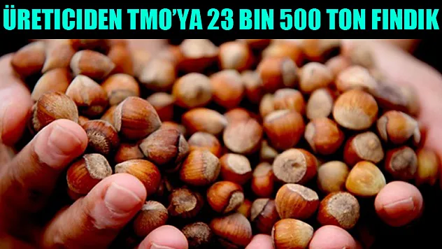 Üreticiden TMO'ya 23 bin 500 ton fındık