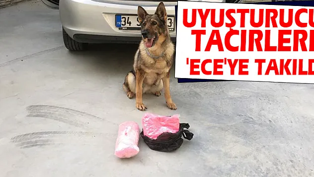 Uyuşturucu tacirleri 'Ece'ye takıldı
