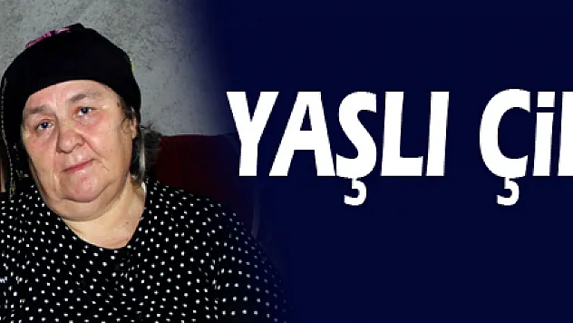 Yaşlı çiftin dramı