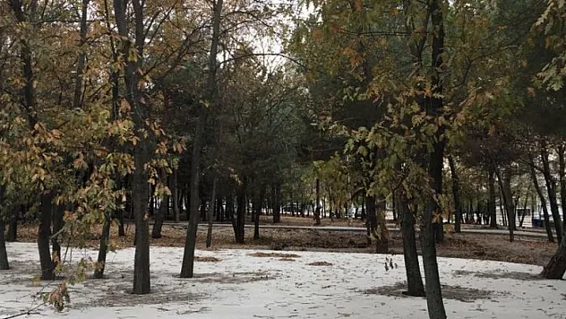 AKCAGÖZ: 'SİNCAPLAR SİZDEN DAVACI OLACAK'