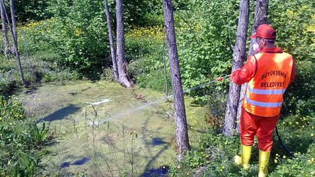 Büyükşehir Belediyesi'nden ilaçlama çalışması