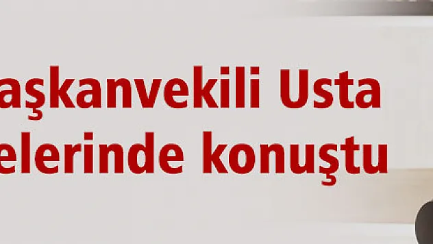 Usta bütçe görüşmelerinde konuştu