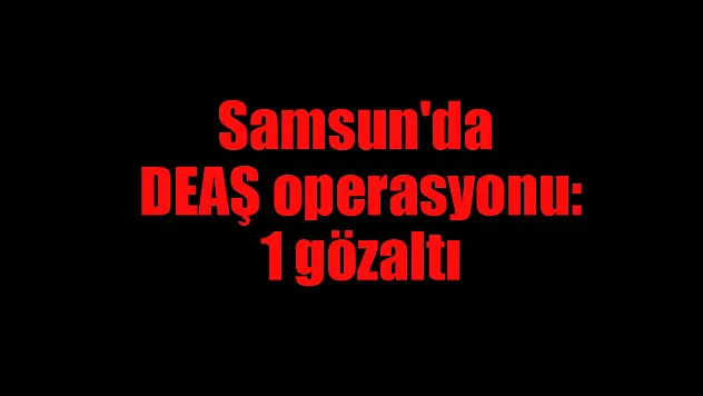 Samsun'da DEAŞ operasyonu: 1 gözaltı
