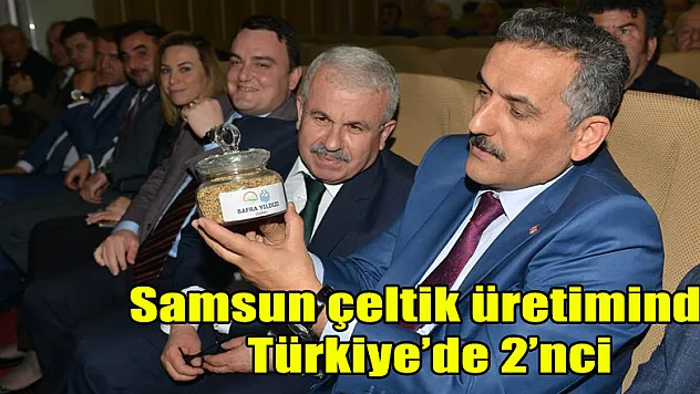 Samsun çeltik üretiminde Türkiye'de 2'nci