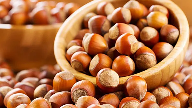 Fındık destekleme müracaatları için son gün 29 Aralık