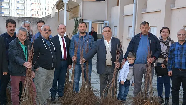 19 Mayıs'ta çiftlere kestane bahçesi 