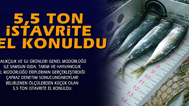 5,5 ton istavrite el konuldu