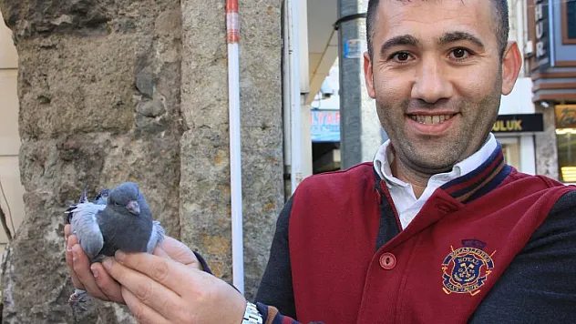 Samsun'da güvercin kurtarma operasyonu