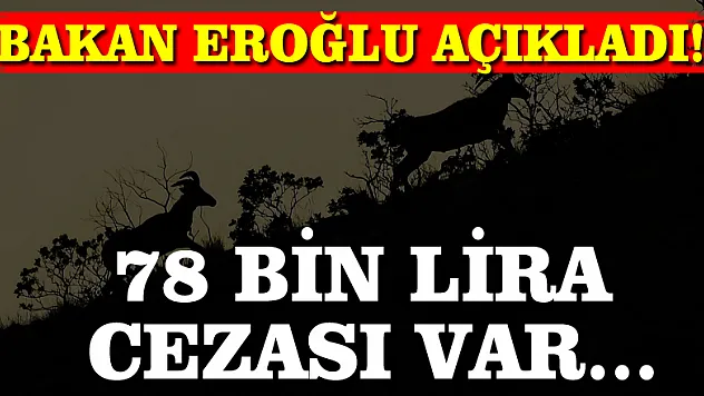 Bakan Eroğlu açıkladı! 78 bin lira cezası var...