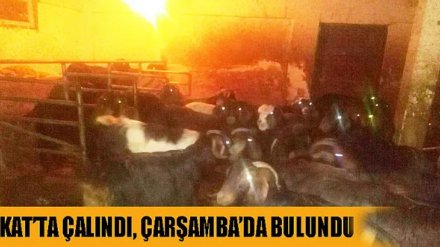 Tokat'ta çalındı, Çarşamba'da bulundu