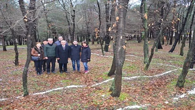 MEŞE TESİSLERİNE DOKUNMA!