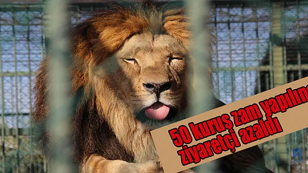 Hayvanat bahçesine 50 kuruş zam yapılınca ziyaretçi azaldı