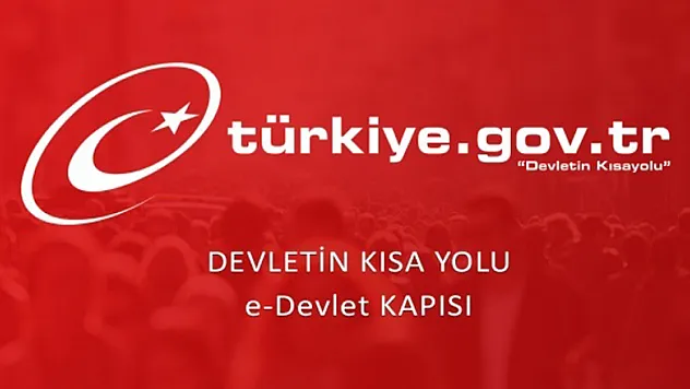 Aracın çekilme nedeni ve otoparkı e-devlet'te