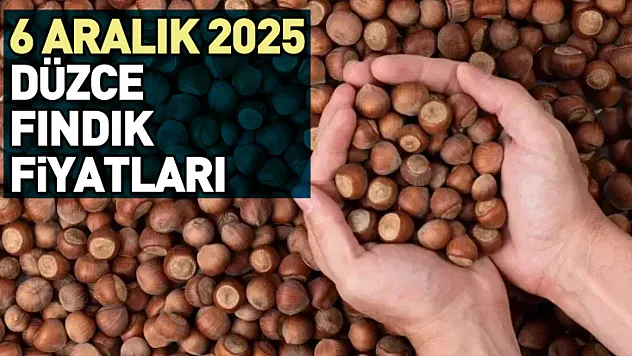 6 Aralık 2025 Düzce Fındık Fiyatları | 317 TL Bandı Isınıyor