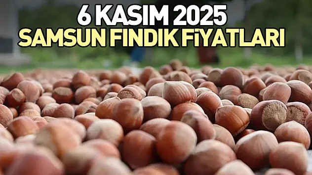 6 Kasım 2025 Samsun Fındık Fiyatları