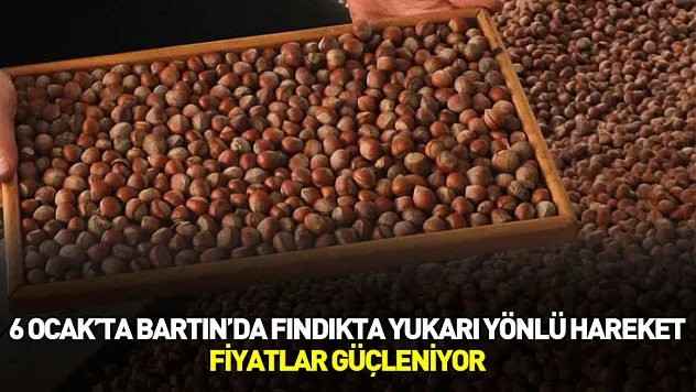 6 Ocak'ta Bartın'da Fındıkta Yukarı Yönlü Hareket: Fiyatlar Güçleniyor
