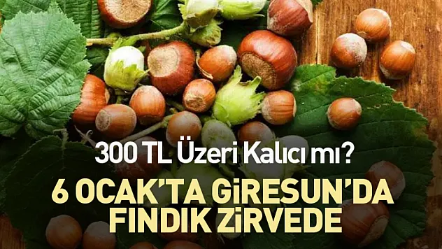6 Ocak'ta Giresun'da Fındık Zirvede: 300 TL Üzeri Kalıcı mı?