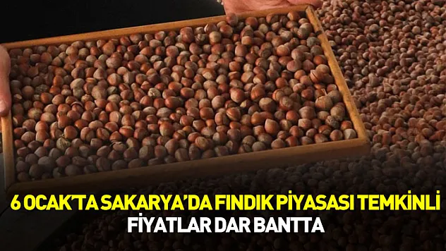 6 Ocak'ta Sakarya'da Fındık Piyasası Temkinli: Fiyatlar Dar Bantta