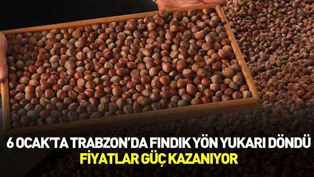 6 Ocak'ta Trabzon'da Fındık Yön Yukarı Döndü: Fiyatlar Güç Kazanıyor
