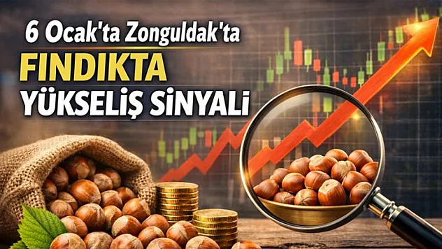 6 Ocak'ta Zonguldak'ta Fındıkta Yükseliş Sinyali: Fiyatlar Yukarı Tutundu