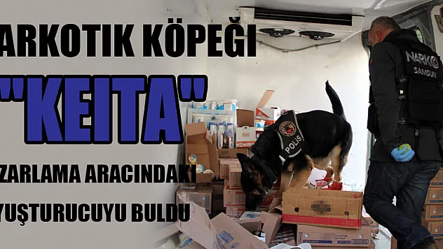 Narkotik köpeği 'Keita' pazarlama aracındaki uyuşturucuyu buldu
