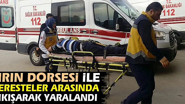 Tırın dorsesi ile keresteler arasında sıkışarak yaralandı