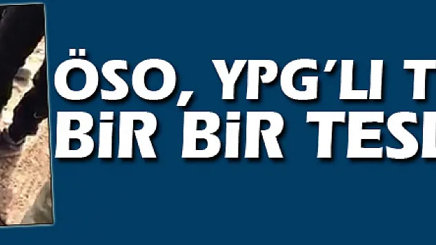 ÖSO, YPG'li teröristleri bir bir teslim alıyor