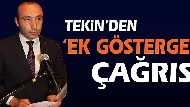 Tekin'den 'ek gösterge' çağrısı