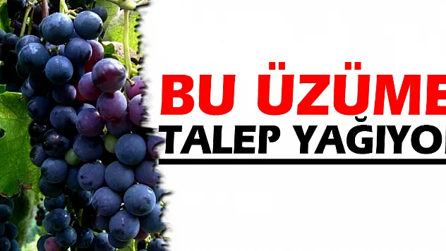 Bu üzüme talep yağıyor