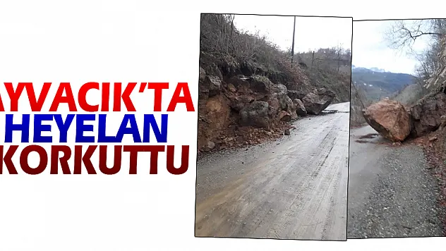 Ayvacık'ta heyelan korkuttu