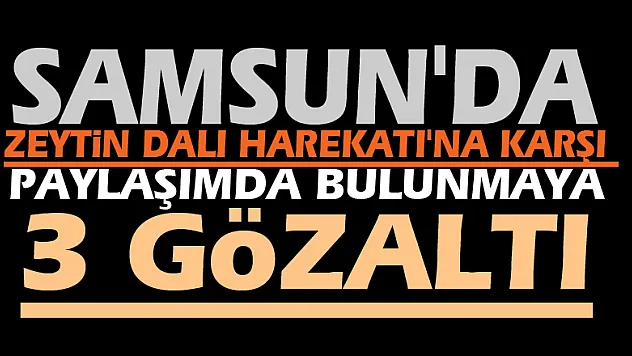 Samsun'da Zeytin Dalı Harekatı'na karşı paylaşımda bulunmaya 3 gözaltı
