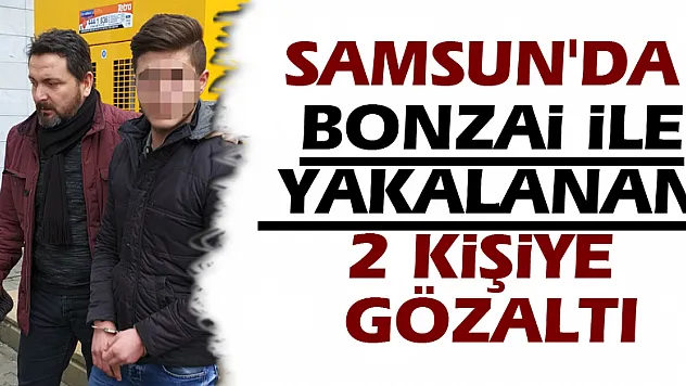 Samsun'da bonzai ile yakalanan 2 kişiye gözaltı