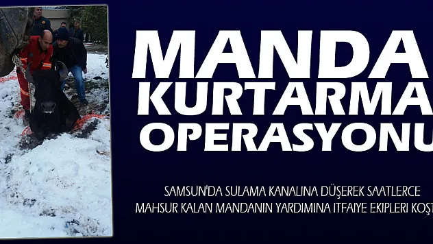 Manda kurtarma operasyonu