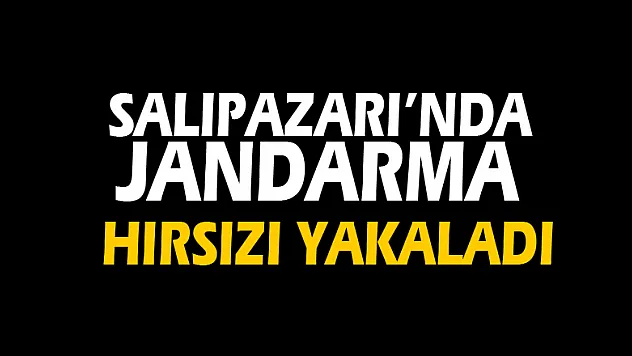 Salıpazarı'nda Jandarma hırsızı yakaladı
