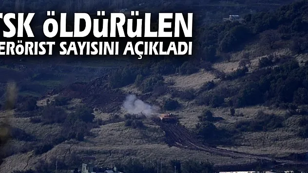 TSK öldürülen terörist sayısını açıkladı