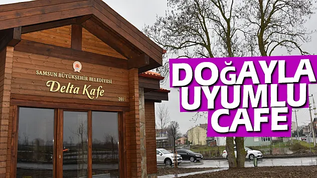 Doğayla Uyumlu Cafe