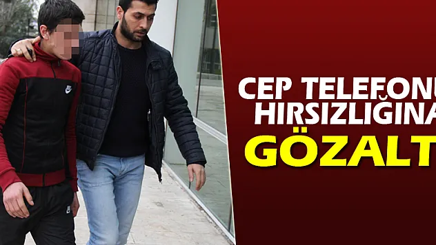 Cep telefonu hırsızlığına gözaltı