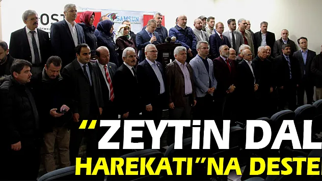 82 STK'dan 'Zeytin Dalı Harekatı'na destek