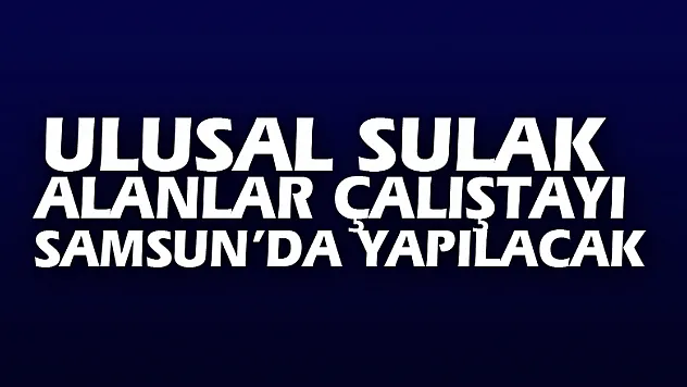 Ulusal Sulak Alanlar Çalıştayı Samsun'da yapılacak