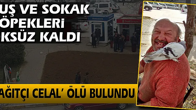 Kuş ve Sokak Köpekleri öksüz kaldı:  'Kağıtçı Celal' ölü bulundu