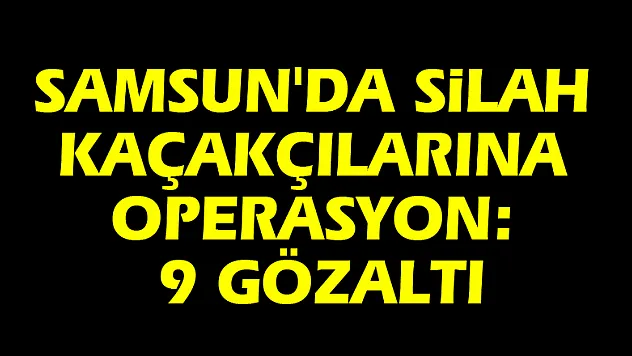 Samsun'da silah kaçakçılarına operasyon: 9 gözaltı