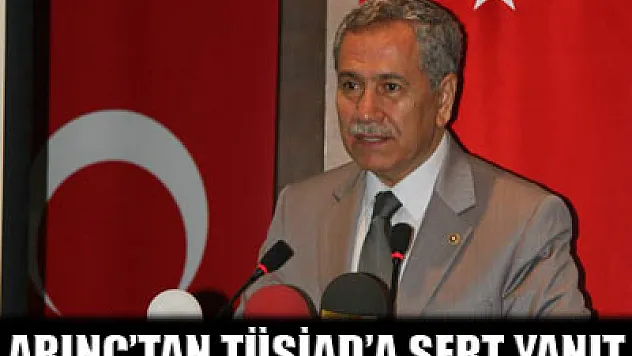 Arınç'tan Boyner'e cevap