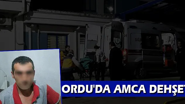 Ordu'da amca dehşeti