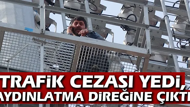 Trafik cezası yedi, aydınlatma direğine çıktı