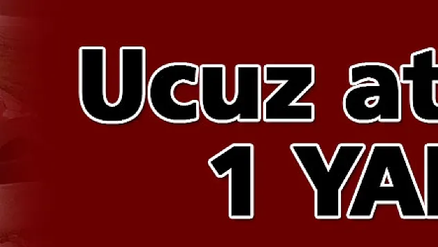 Ucuz atlatıldı: 1 Yaralı